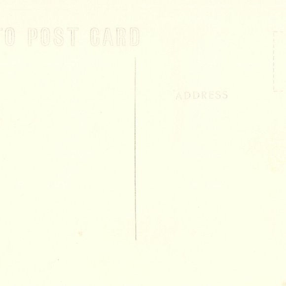 RPPC - Harvesting Sugar Cane in The Everglades - Florida M2303 - Picture 2 of 2